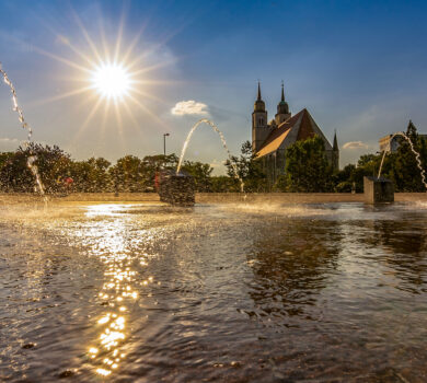 trinkwassertagung-sachsen-anhalt-magdeburg